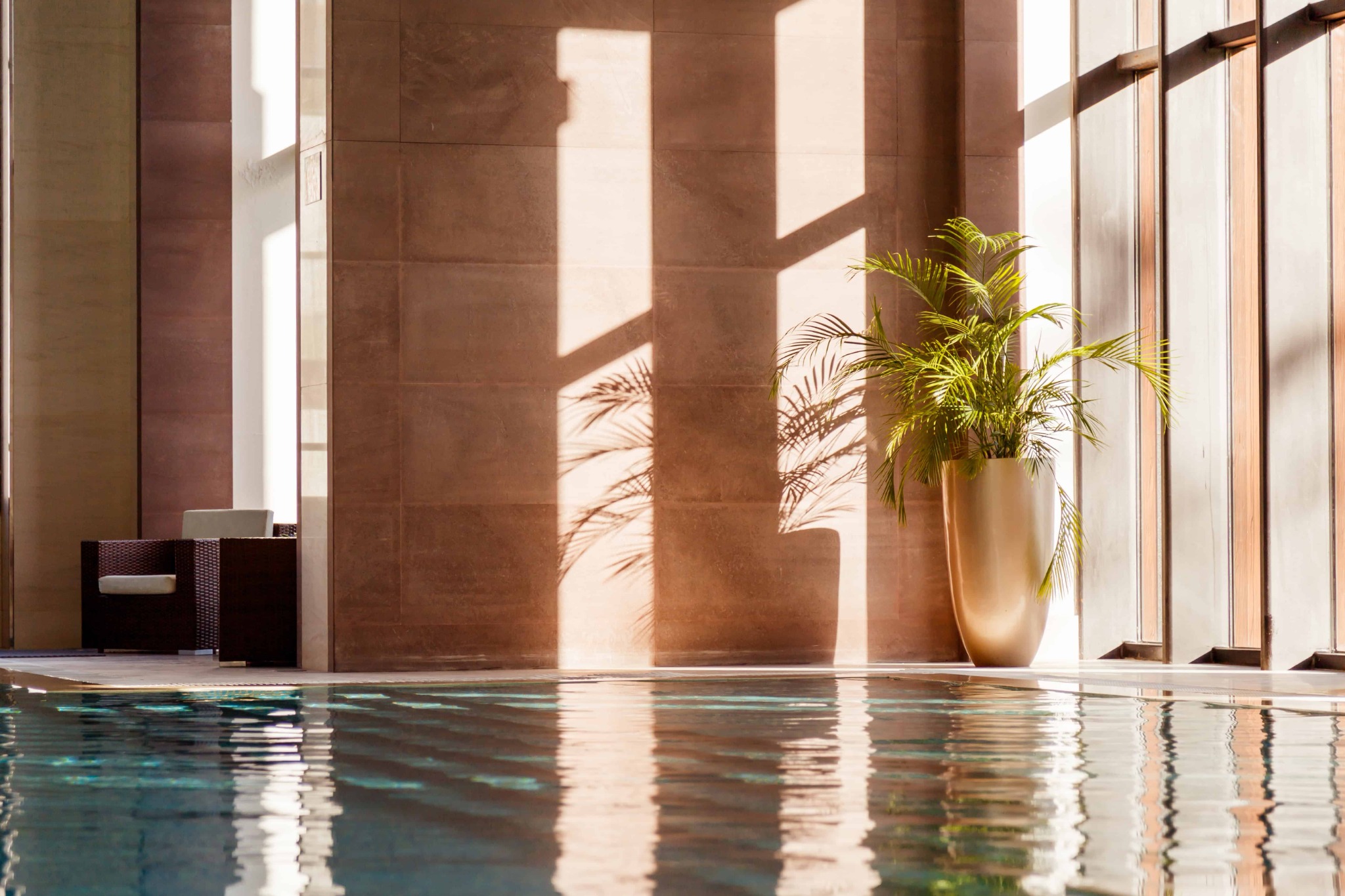 Wellness premium